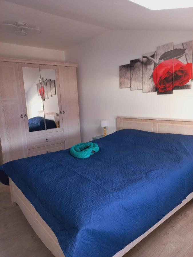 Collot Apartment